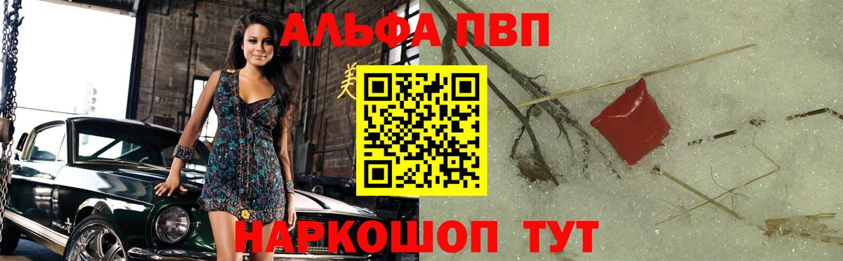 Альфа ПВП СК Новодвинск