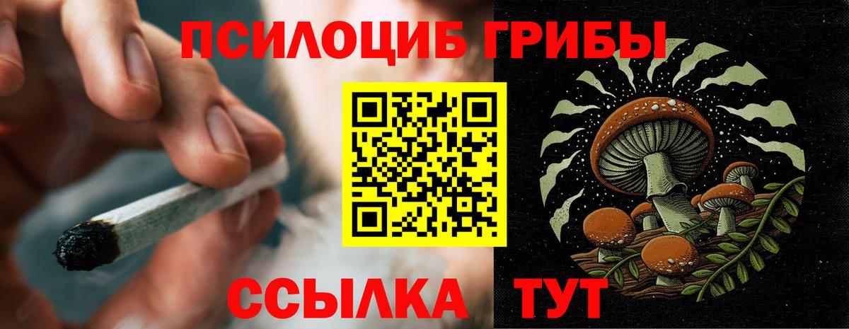 Псилоцибиновые грибы Cubensis Новодвинск
